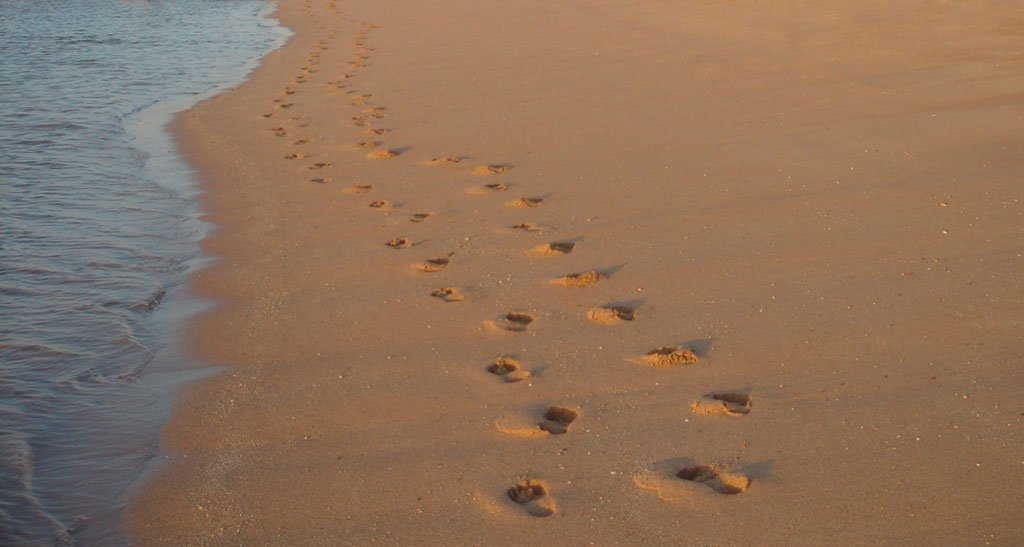 Spuren im Sand