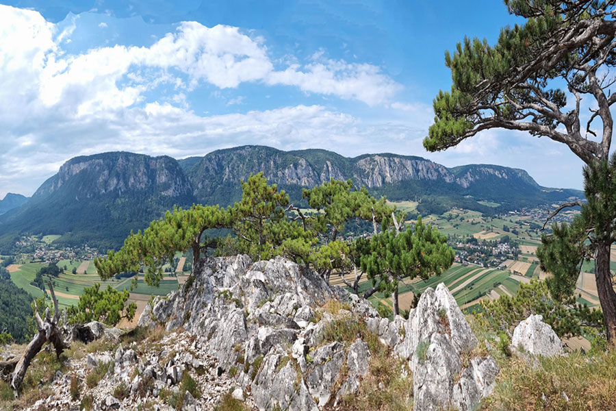 Outdoor-Coaching mit Dr. Wiesinger - Weitblick, neue Perspektiven, Berge